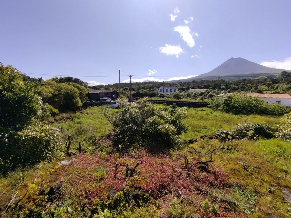 Landejendom i Madalena, Pico - foto 5